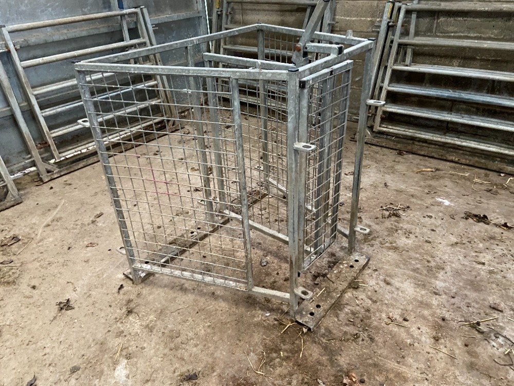 IAE Sheep Shedding Gate