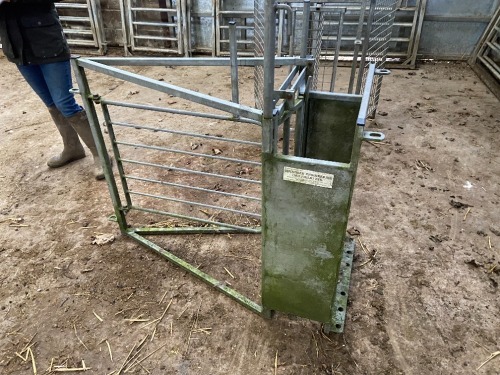 Glendale Engineering Sheep Shedding Gate