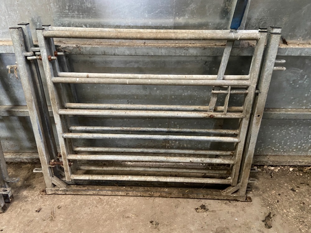 Pair of 3 & 1/2 ft Gates in Frames