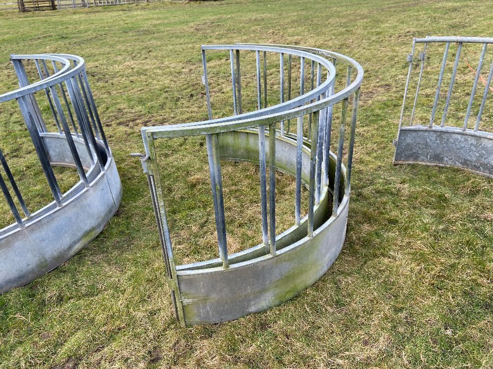 Sheep Ring Feeder