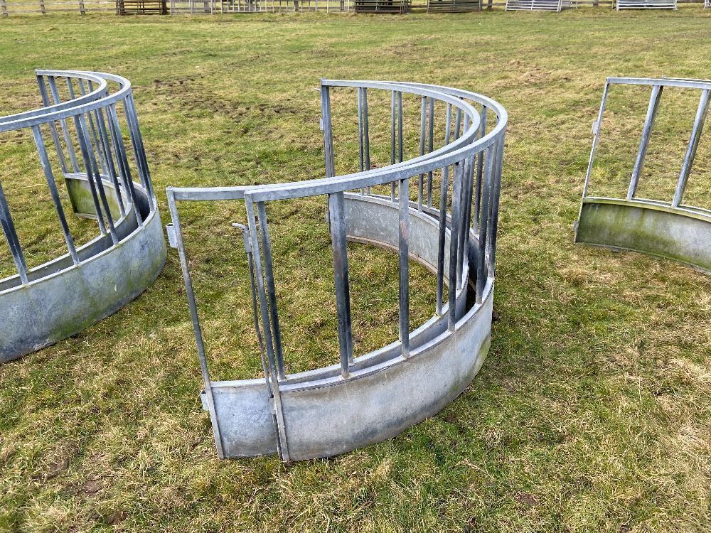 Sheep Ring Feeder