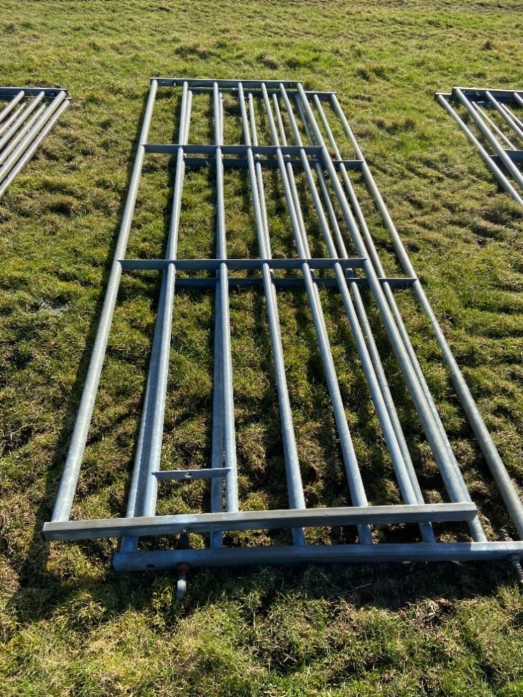 Pair of 12ft Gates