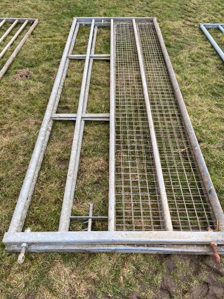 Pair of 10ft Gates part mesh