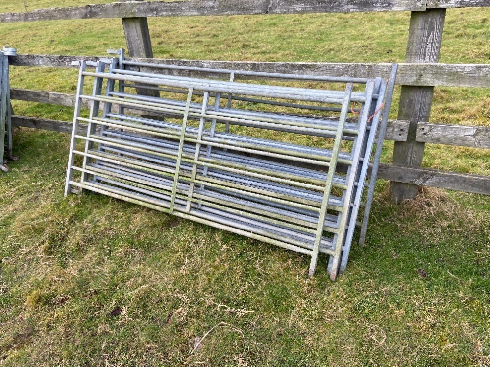 6 x 6ft Interlocking Looped Hurdles