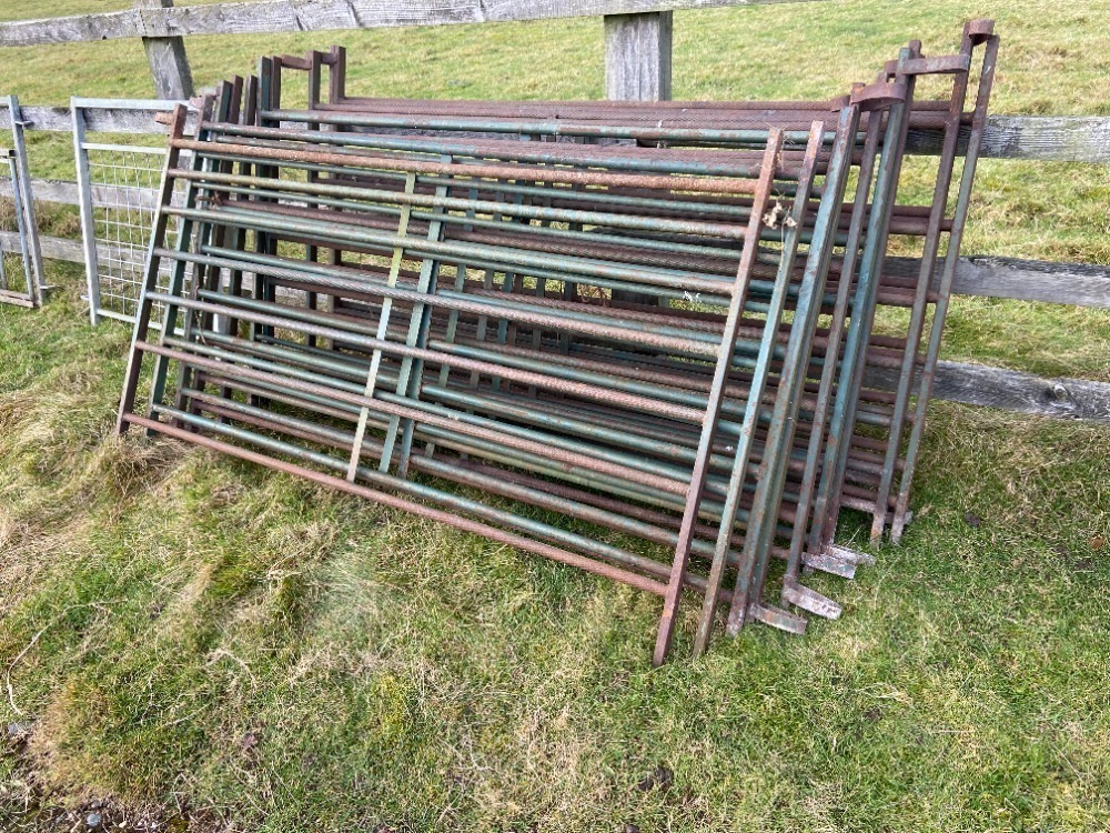 10 x 6ft Interlocking Looped Hurdles