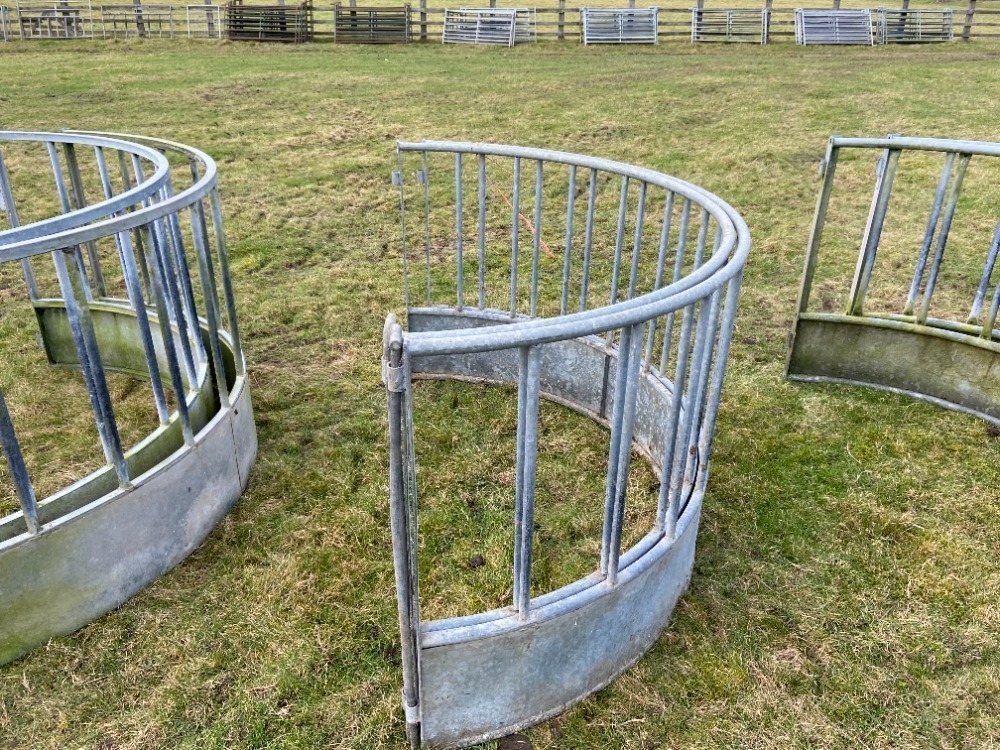 Ritchie Sheep Ring Feeder