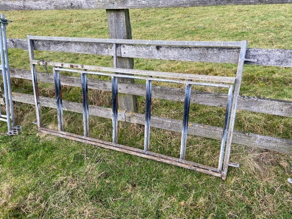 6ft Lamb Creep Gate