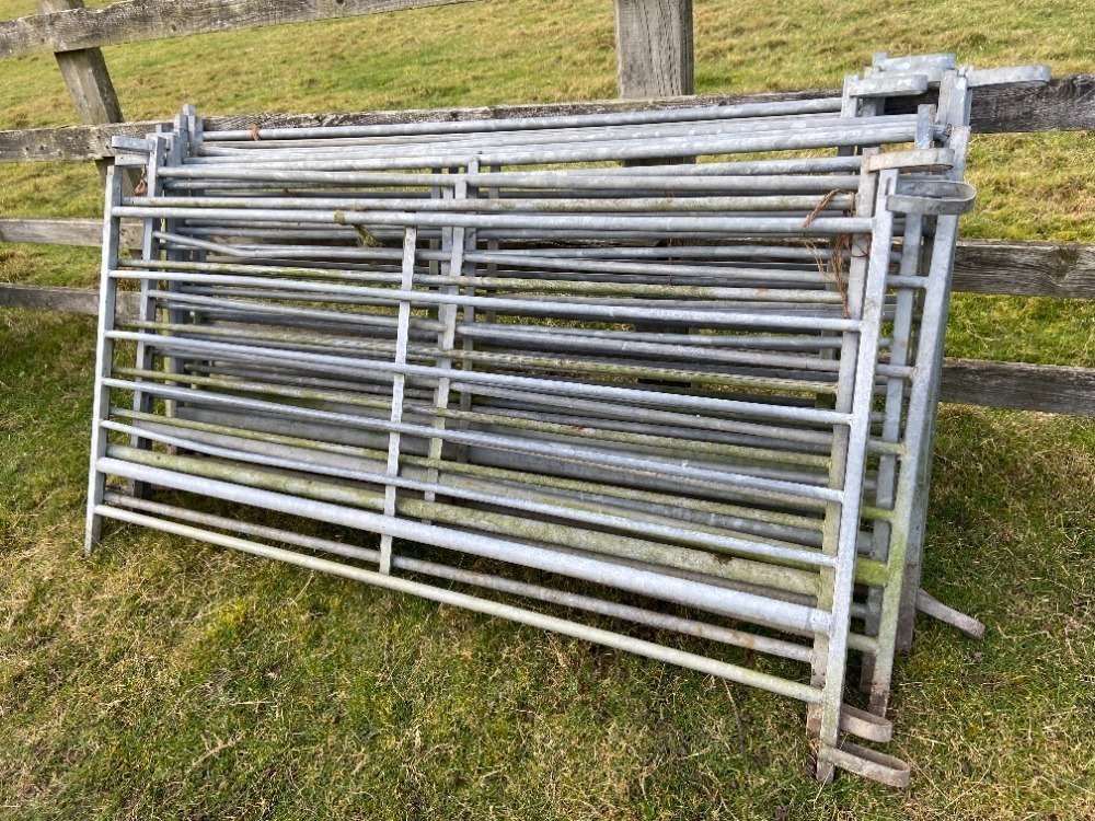 10 x 6ft Interlocking Looped Hurdles