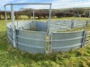 Fixed Sheep Race with Forcing Circle and Pens