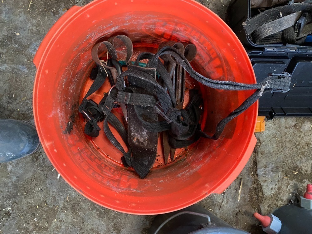 Bundle of Raddle Harness, Shears and Footrimmers