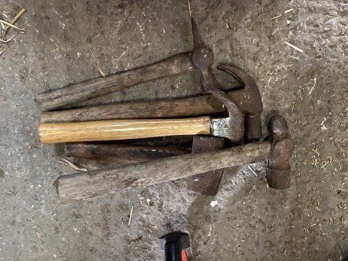 Various Hammers