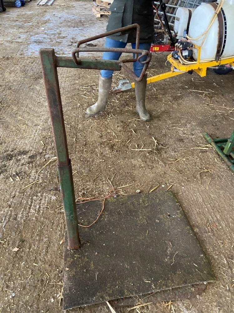 Sheep Trimming Headstock