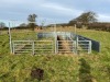 Fixed Sheep Race with Forcing Circle and Pens - 4