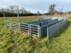 Fixed Sheep Race with Forcing Circle and Pens - 5