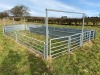 Fixed Sheep Race with Forcing Circle and Pens - 6