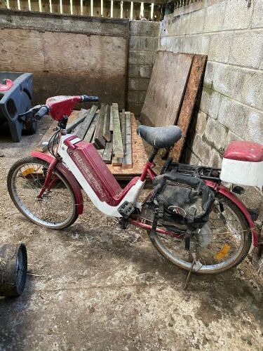 Kingston Electric Bike