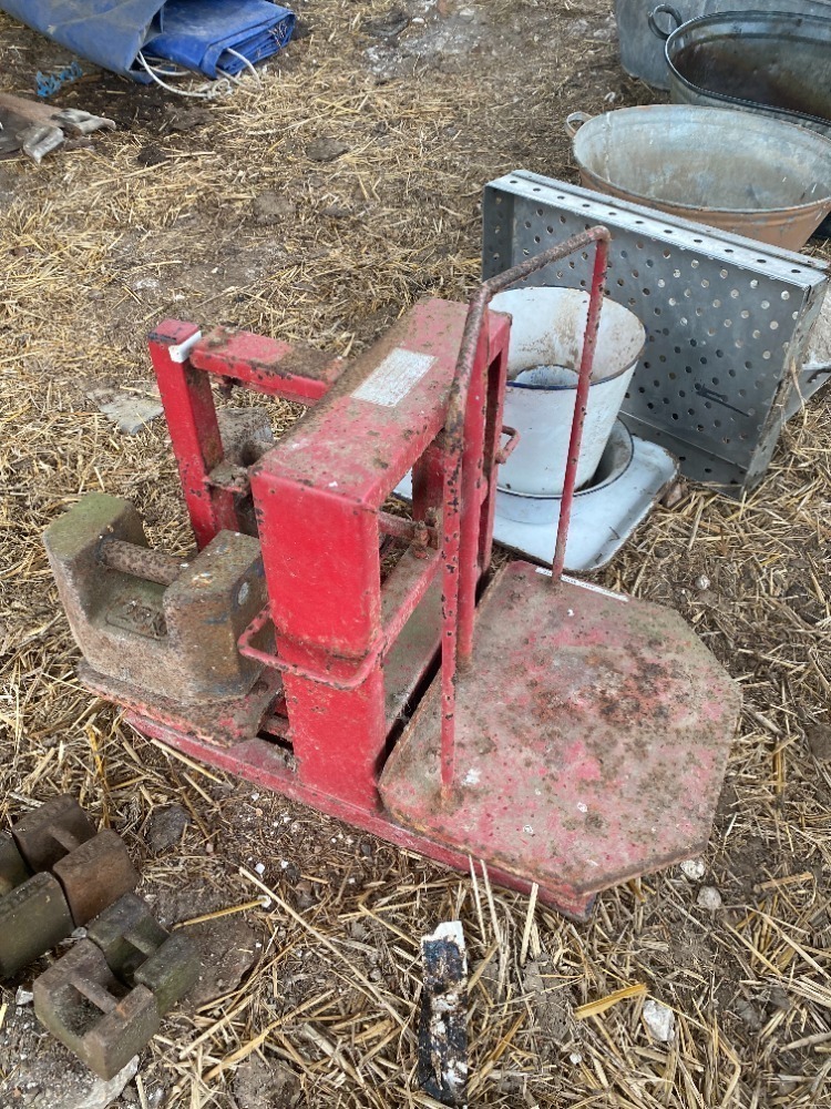 Tong 50kg Scales with 2 x 25 kg weights