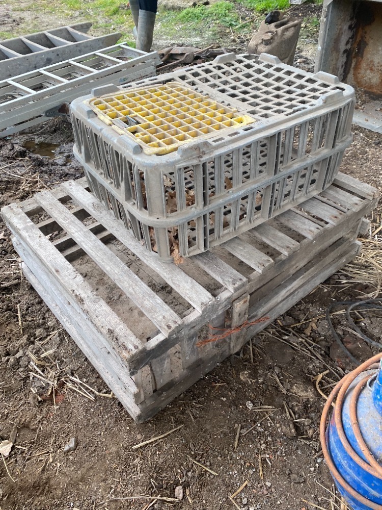 2 x Poultry Crates