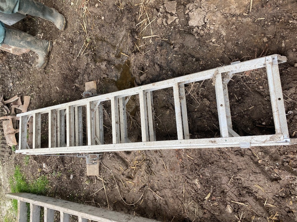 Loft Ladder