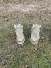 Decorative Stone Horseheads x 2