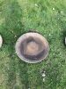 Small Mexican hat feeder