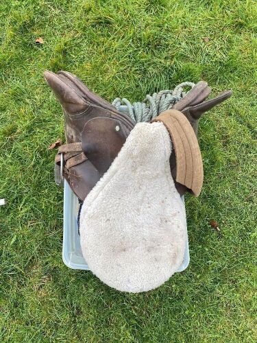 Saddle and Miscellaneous Tack