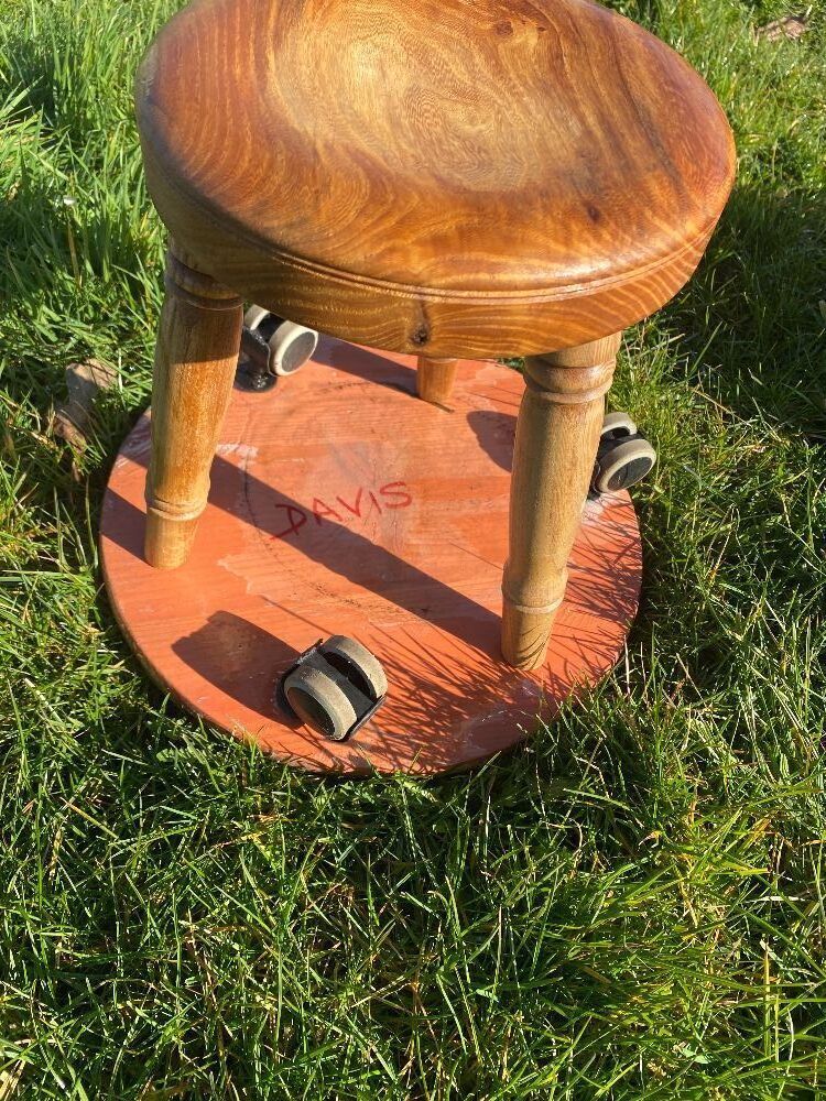 Milking Stool