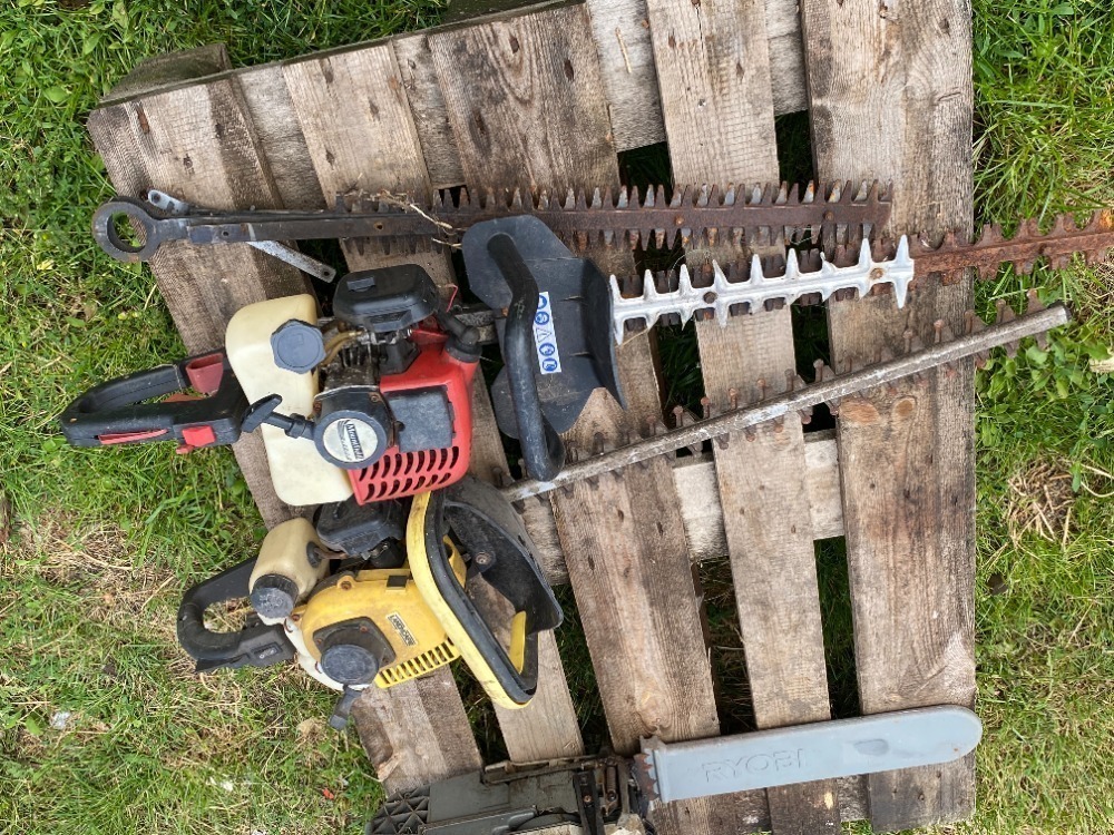 2 x Hedge cutter - Mountfield & Landxcape