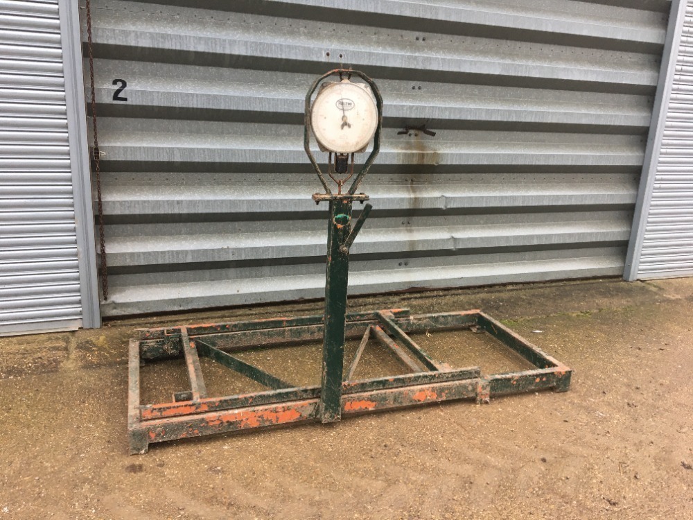 Weigh platform with manual weigh head (for cattle crush)